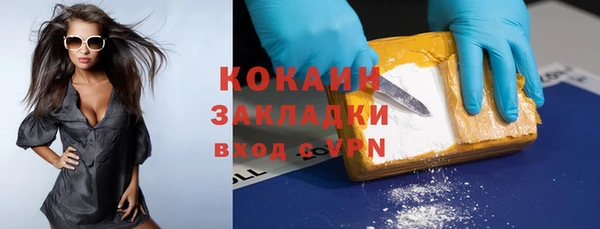 сатива Коряжма