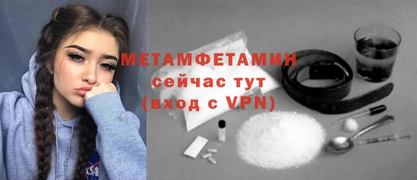 сатива Коряжма