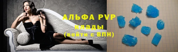 шишки Козельск