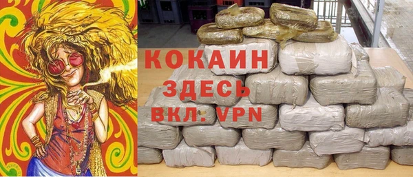 шишки Козельск