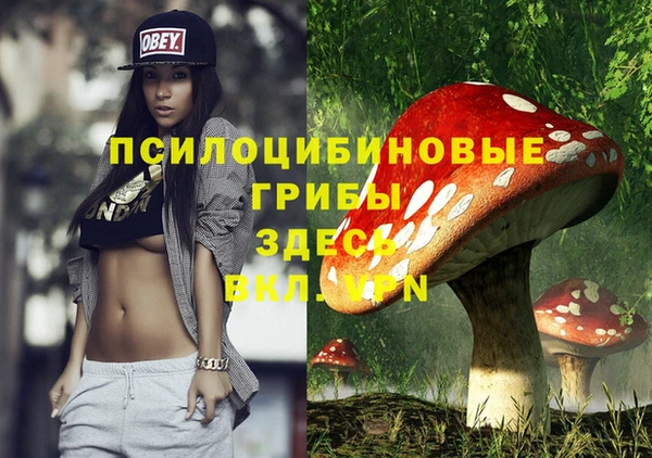 сатива Коряжма
