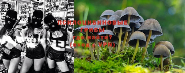 герыч Козловка