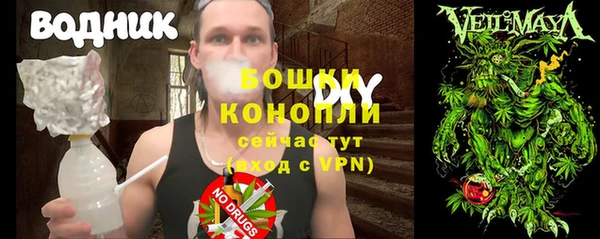 шишки Козельск