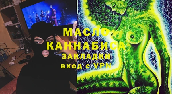 сатива Коряжма