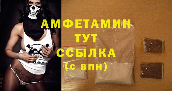 сатива Коряжма
